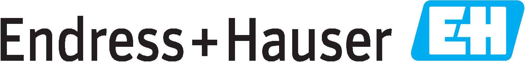 Endress+Hauser